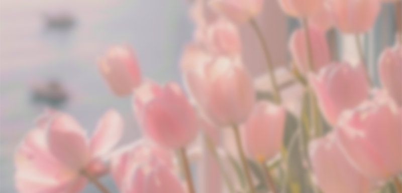 スマホ壁紙>無料ダウンロード